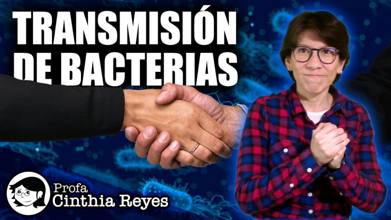 La transmisión de bacterias cotidiana, cómo reducirla