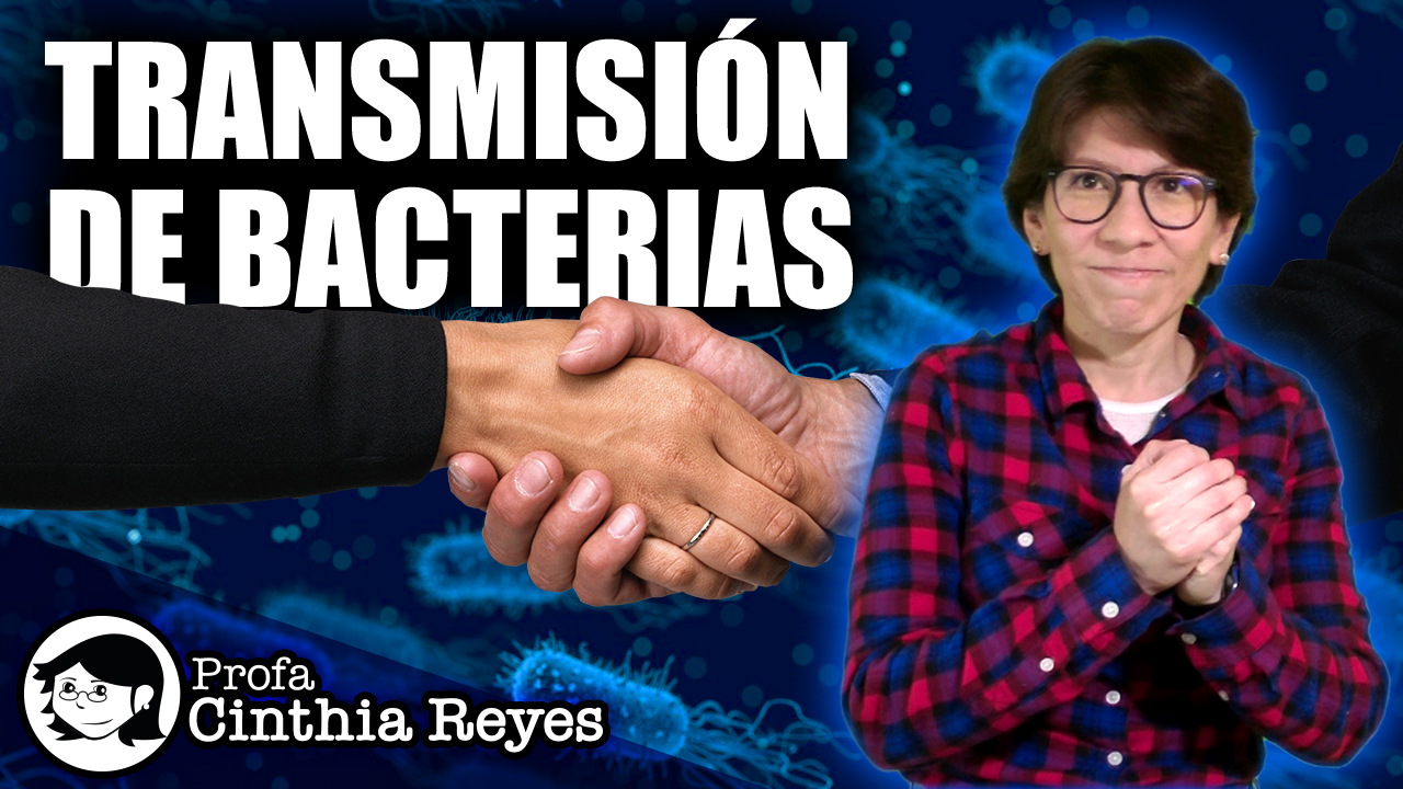 Transmisión de bacterias