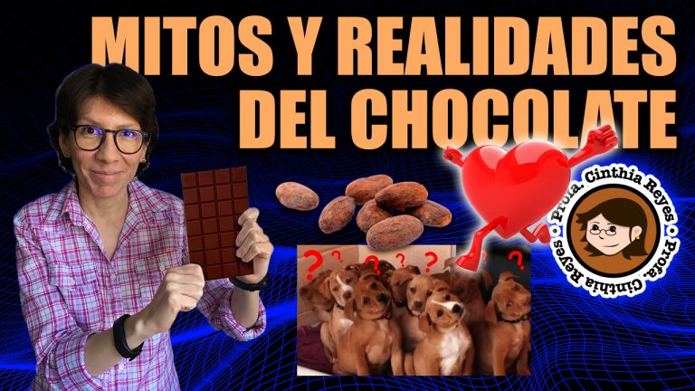 Mitos e historia del chocolate