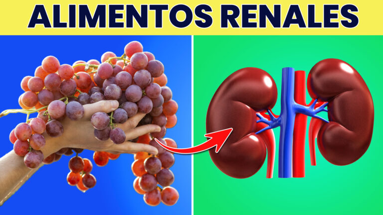 ¿Cuáles son los ALIMENTOS que mejor protegen tus RIÑONES?